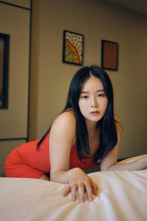 海贼王起航官网